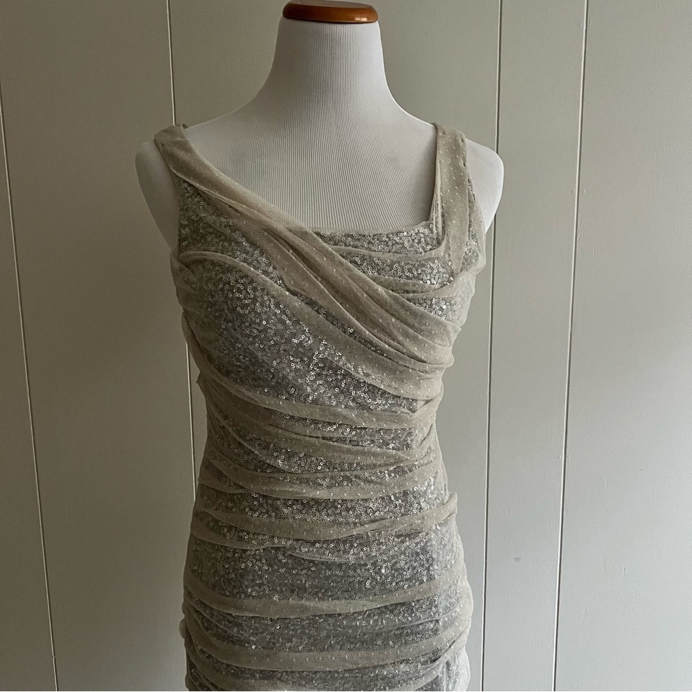 Express Silver Sequin Mesh Mini Dress – Size 6 - Picture 9 of 16